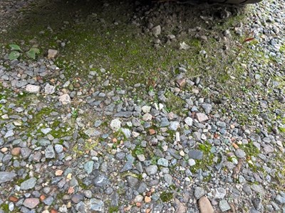 Lot 81 - 2019 (69 Plate) DAF CF 450 FT 4x2 Tractor Unit Euro 6 NON RUNNER