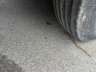 Lot 8 - 2016 Dennis Elite 6 8x4 Refuse Collection Vehicle Euro 6