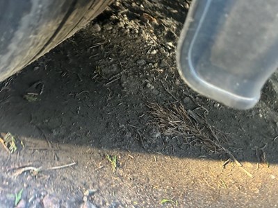 Lot 21 - 2012 Gray & Adams Double Deck Fridge Trailer